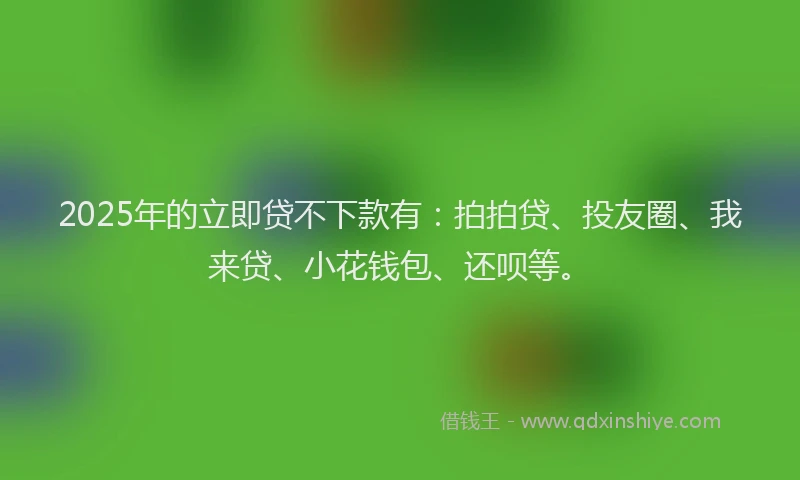 2025年的立即贷不下款有：拍拍贷、投友圈、我来贷、小花钱包、还呗等。