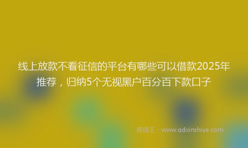 线上放款不看征信的平台有哪些可以借款2025年推荐，归纳5个无视黑户百分百下款口子