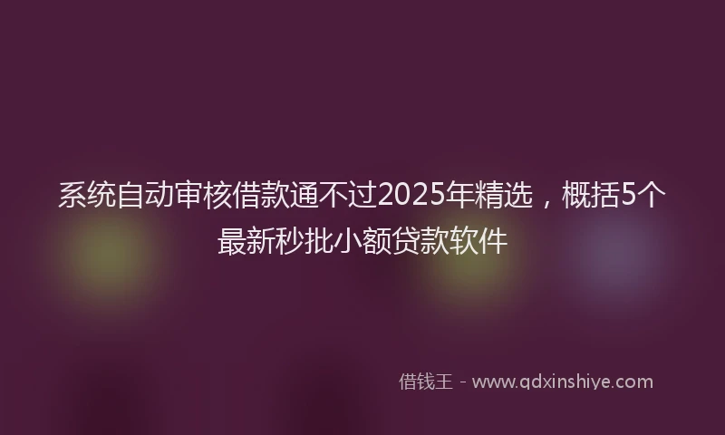 系统自动审核借款通不过2025年精选，概括5个最新秒批小额贷款软件