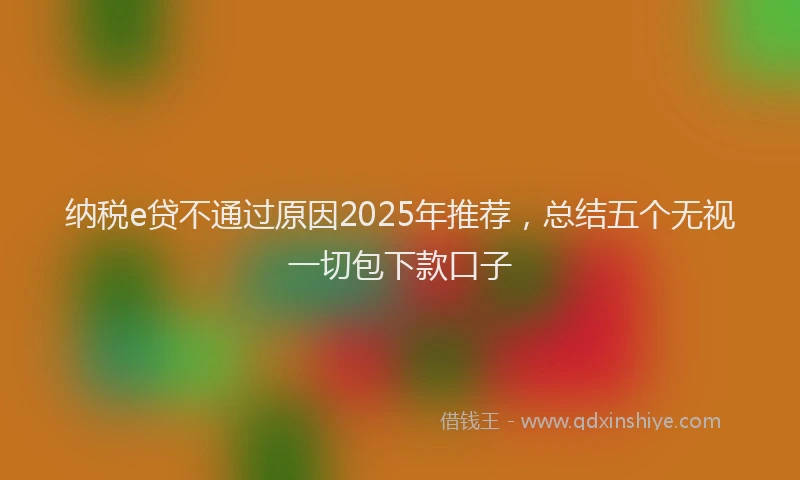 纳税e贷不通过原因2025年推荐，总结五个无视一切包下款口子