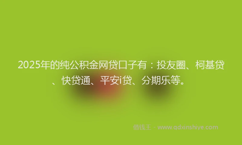 2025年的纯公积金网贷口子有：投友圈、柯基贷、快贷通、平安i贷、分期乐等。