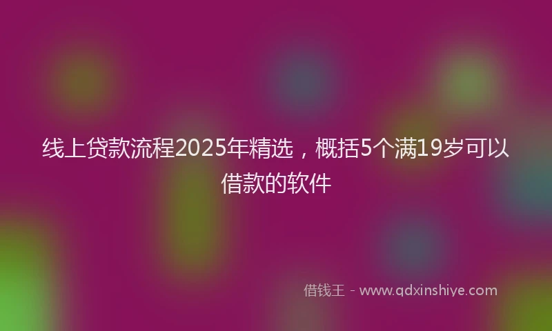 线上贷款流程2025年精选，概括5个满19岁可以借款的软件