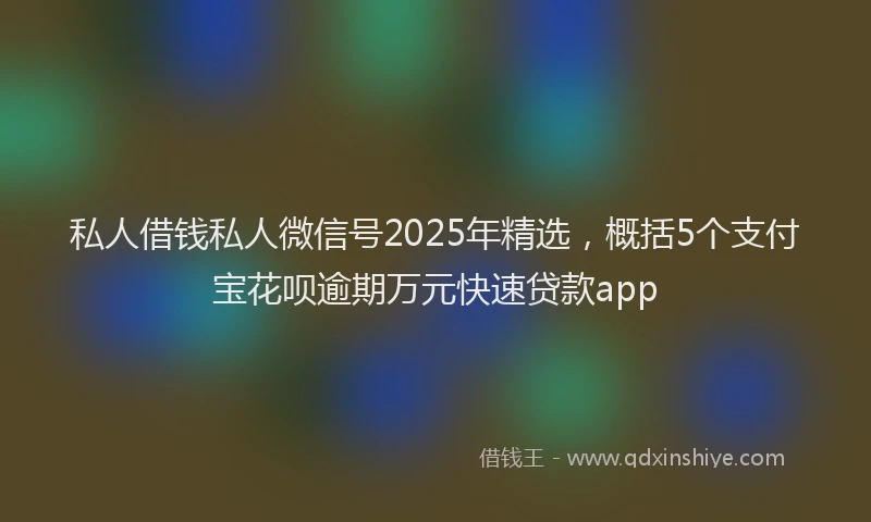 私人借钱私人微信号2025年精选，概括5个支付宝花呗逾期万元快速贷款app