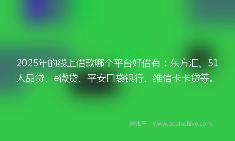 2025年的线上借款哪个平台好借有：东方汇、51人品贷、e微贷、平安口袋银行、维信卡卡贷等。