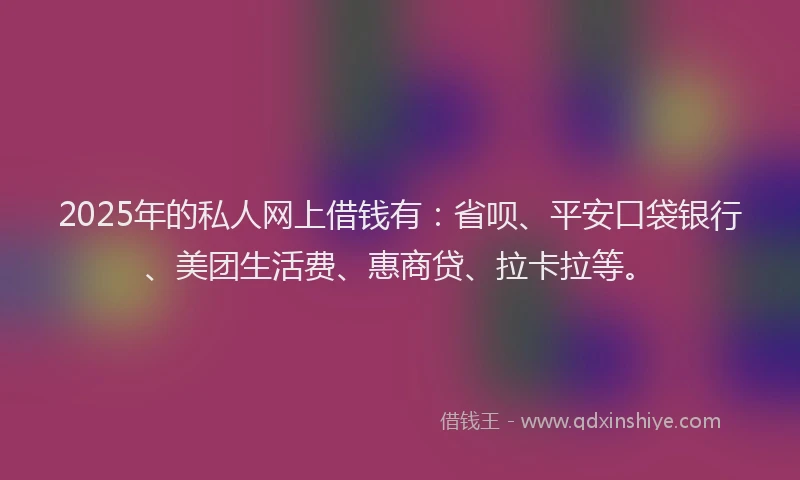 2025年的私人网上借钱有：省呗、平安口袋银行、美团生活费、惠商贷、拉卡拉等。