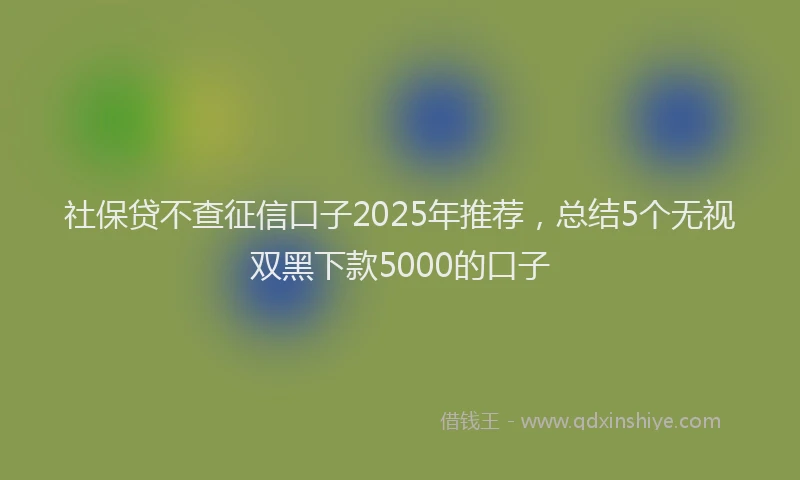 社保贷不查征信口子2025年推荐，总结5个无视双黑下款5000的口子