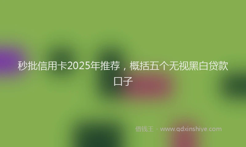 秒批信用卡2025年推荐，概括五个无视黑白贷款口子