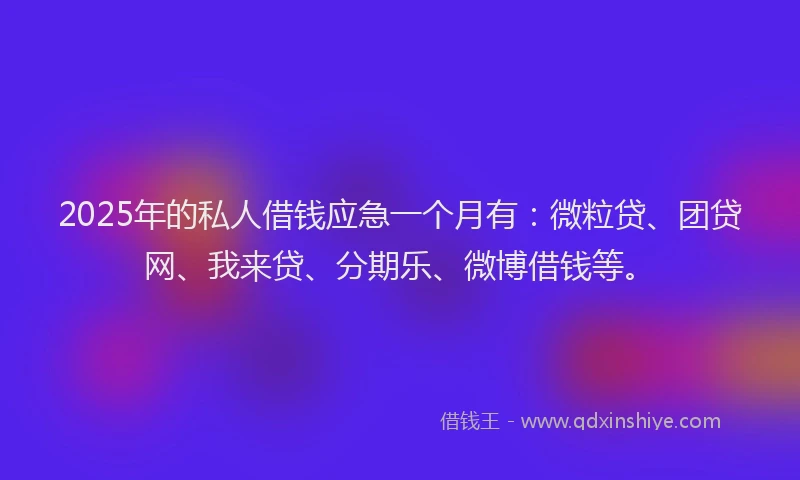 2025年的私人借钱应急一个月有：微粒贷、团贷网、我来贷、分期乐、微博借钱等。