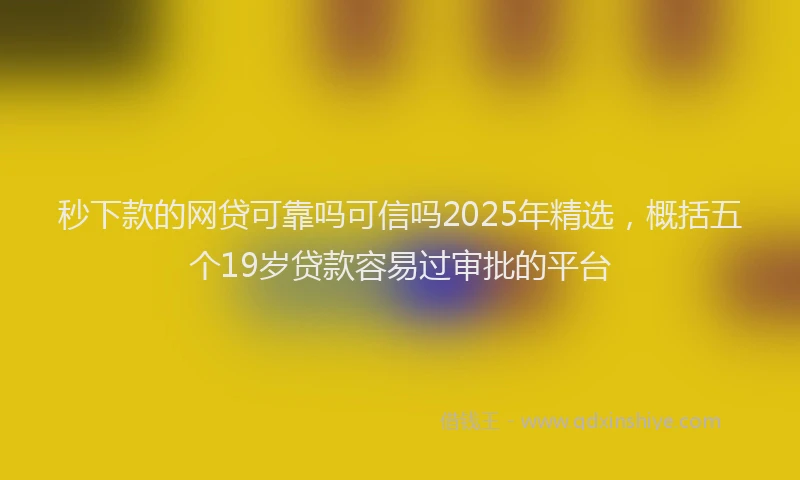 秒下款的网贷可靠吗可信吗2025年精选，概括五个19岁贷款容易过审批的平台