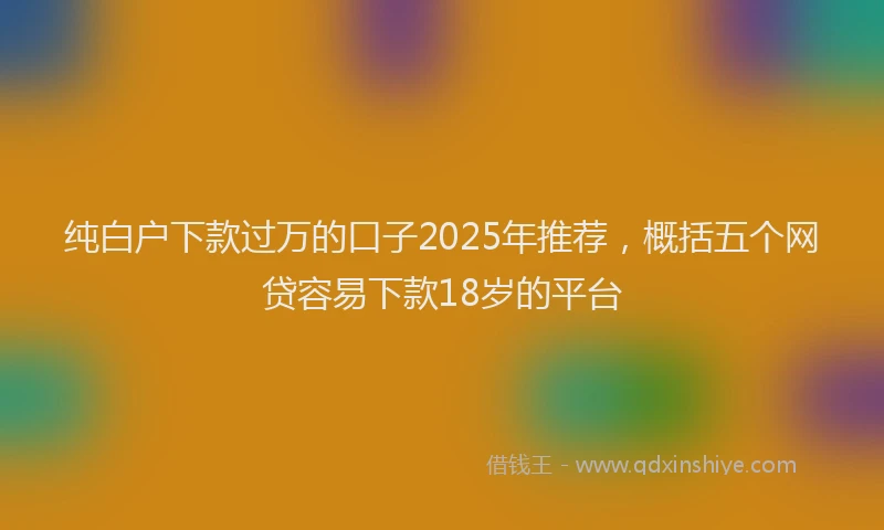 纯白户下款过万的口子2025年推荐，概括五个网贷容易下款18岁的平台
