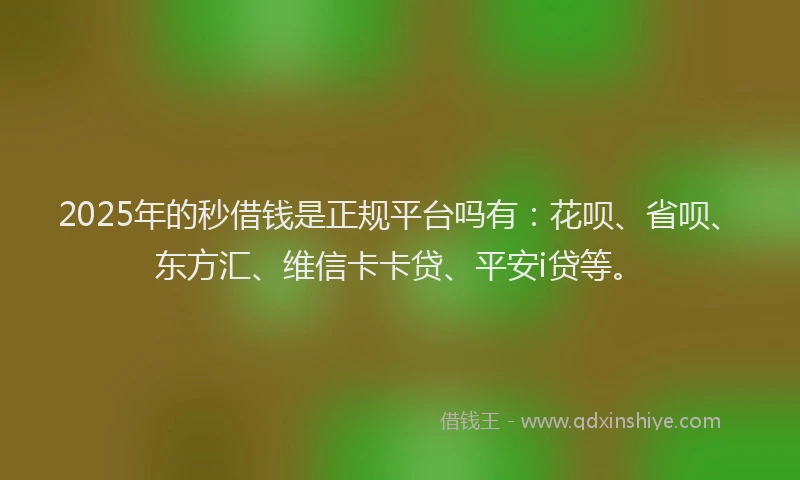 2025年的秒借钱是正规平台吗有：花呗、省呗、东方汇、维信卡卡贷、平安i贷等。