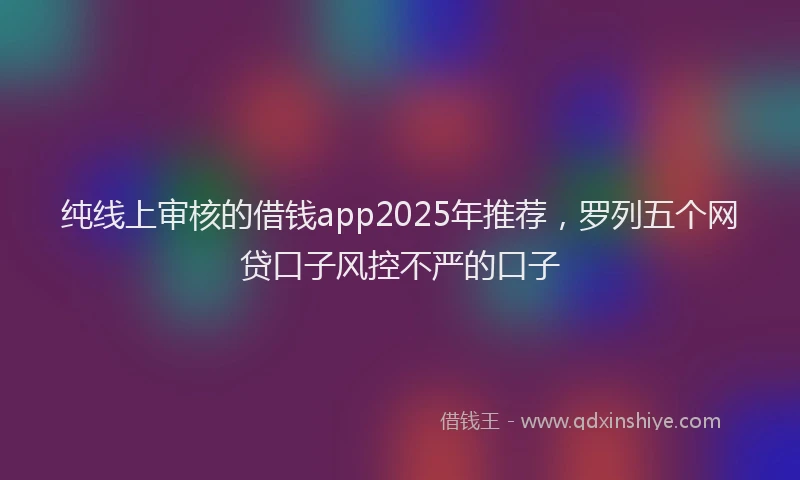 纯线上审核的借钱app2025年推荐，罗列五个网贷口子风控不严的口子