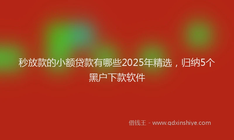 秒放款的小额贷款有哪些2025年精选，归纳5个黑户下款软件