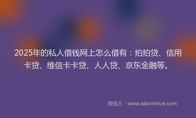 2025年的私人借钱网上怎么借有：拍拍贷、信用卡贷、维信卡卡贷、人人贷、京东金融等。