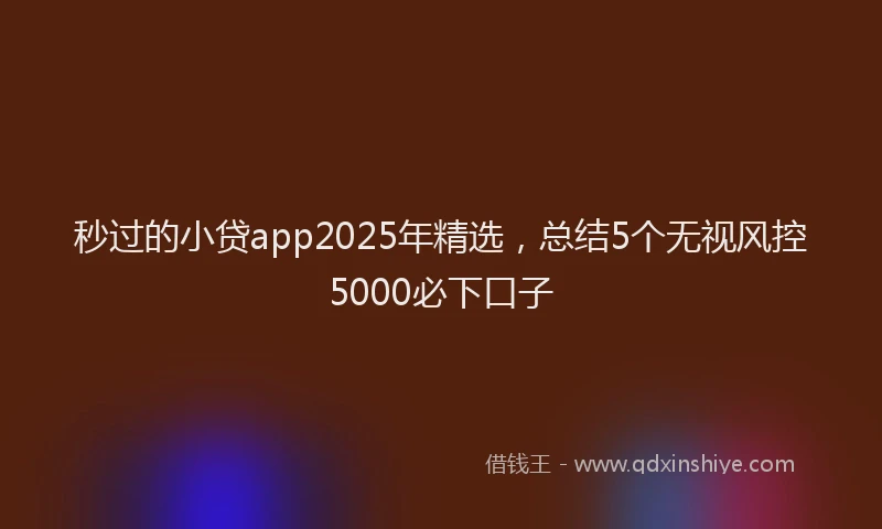秒过的小贷app2025年精选，总结5个无视风控5000必下口子