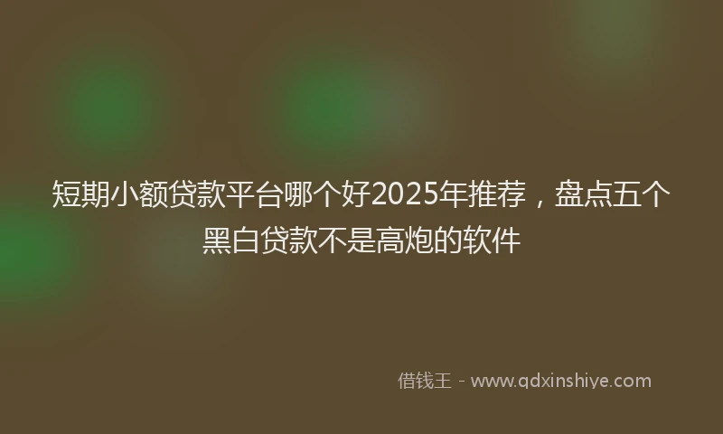 短期小额贷款平台哪个好2025年推荐，盘点五个黑白贷款不是高炮的软件