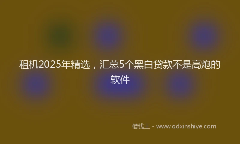 租机2025年精选,汇总5个黑白贷款不是高炮的软件