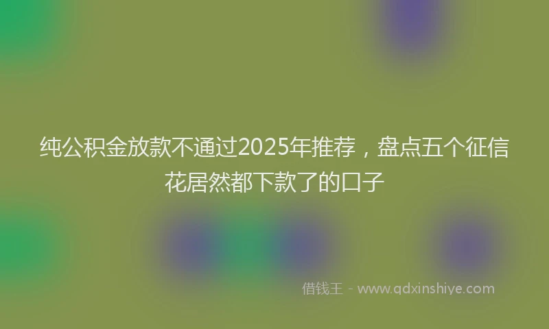 纯公积金放款不通过2025年推荐，盘点五个征信花居然都下款了的口子