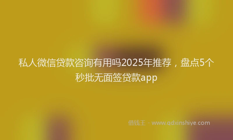 私人微信贷款咨询有用吗2025年推荐，盘点5个秒批无面签贷款app