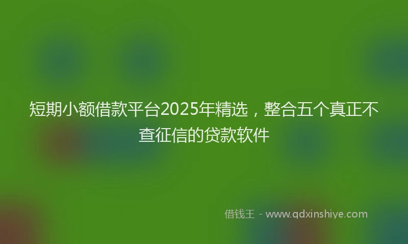 短期小额借款平台2025年精选，整合五个真正不查征信的贷款软件