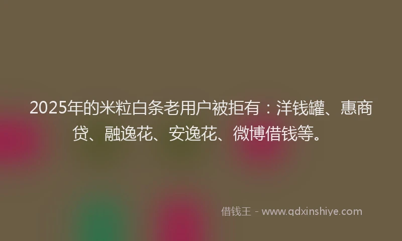 2025年的米粒白条老用户被拒有：洋钱罐、惠商贷、融逸花、安逸花、微博借钱等。