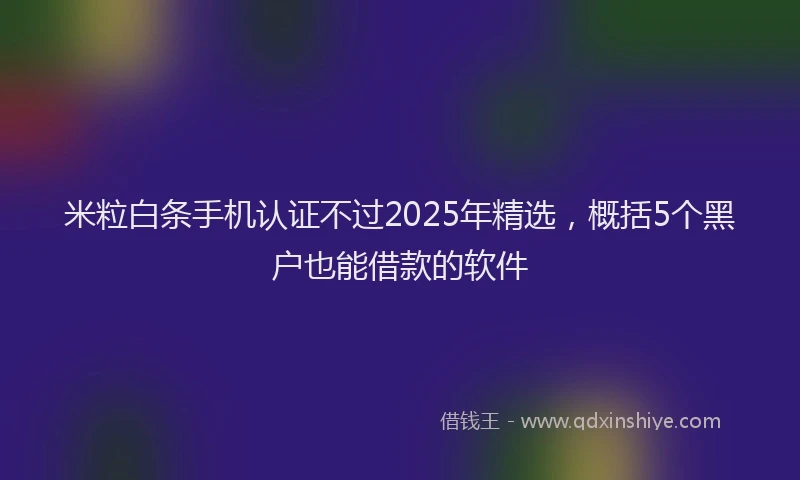 米粒白条手机认证不过2025年精选，概括5个黑户也能借款的软件