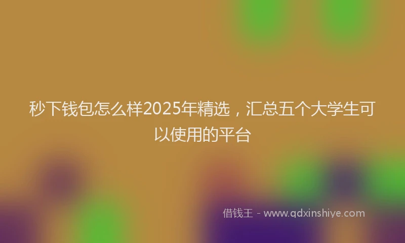 秒下钱包怎么样2025年精选，汇总五个大学生可以使用的平台