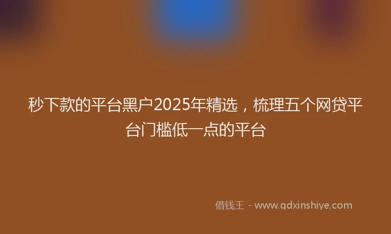 秒下款的平台黑户2025年精选，梳理五个网贷平台门槛低一点的平台