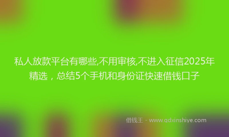 私人放款平台有哪些,不用审核,不进入征信2025年精选，总结5个手机和身份证快速借钱口子