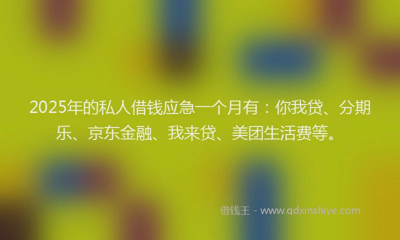 2025年的私人借钱应急一个月有：你我贷、分期乐、京东金融、我来贷、美团生活费等。