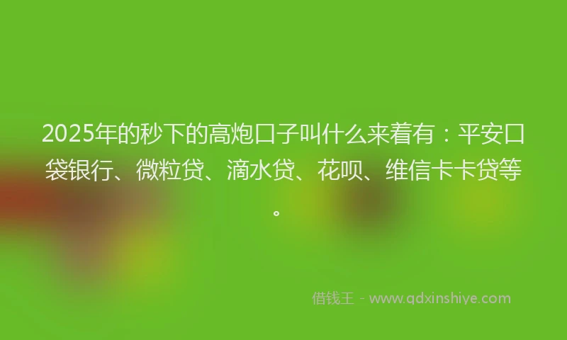 2025年的秒下的高炮口子叫什么来着有：平安口袋银行、微粒贷、滴水贷、花呗、维信卡卡贷等。