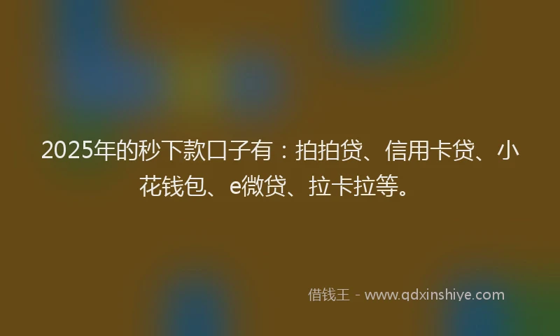2025年的秒下款口子有：拍拍贷、信用卡贷、小花钱包、e微贷、拉卡拉等。