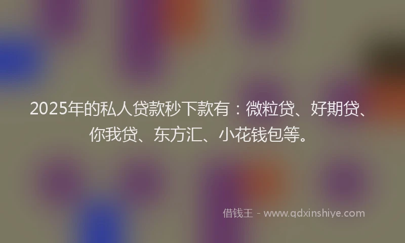 2025年的私人贷款秒下款有：微粒贷、好期贷、你我贷、东方汇、小花钱包等。