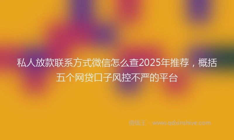 私人放款联系方式微信怎么查2025年推荐，概括五个网贷口子风控不严的平台