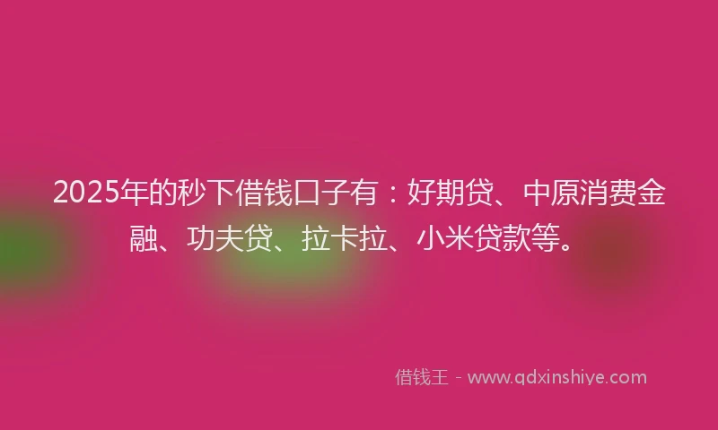 2025年的秒下借钱口子有：好期贷、中原消费金融、功夫贷、拉卡拉、小米贷款等。