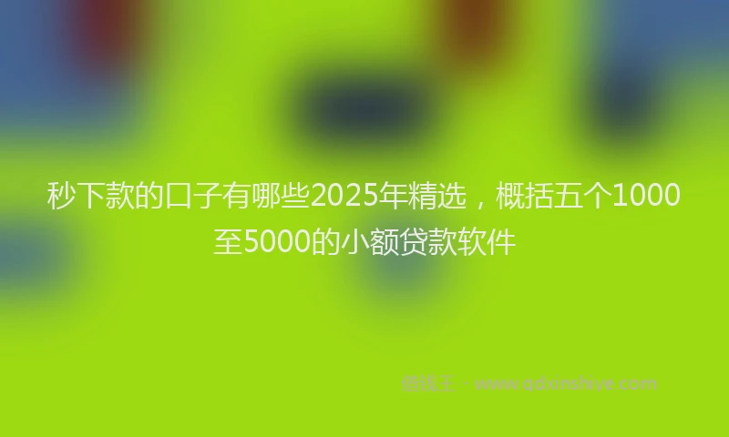 秒下款的口子有哪些2025年精选，概括五个1000至5000的小额贷款软件