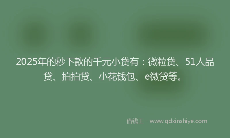 2025年的秒下款的千元小贷有：微粒贷、51人品贷、拍拍贷、小花钱包、e微贷等。
