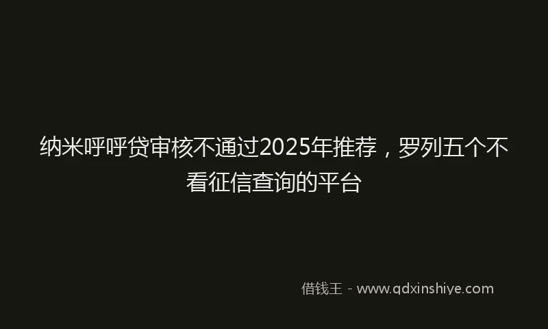 纳米呼呼贷审核不通过2025年推荐，罗列五个不看征信查询的平台
