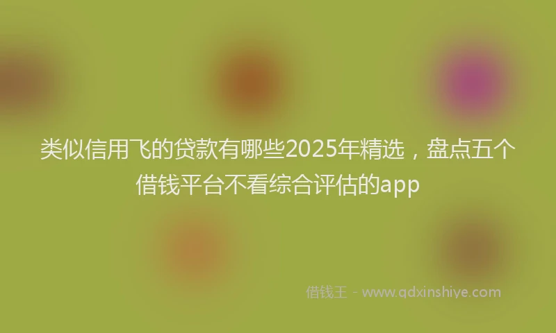 类似信用飞的贷款有哪些2025年精选，盘点五个借钱平台不看综合评估的app