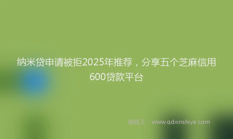 纳米贷申请被拒2025年推荐，分享五个芝麻信用600贷款平台