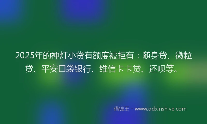 2025年的神灯小贷有额度被拒有：随身贷、微粒贷、平安口袋银行、维信卡卡贷、还呗等。