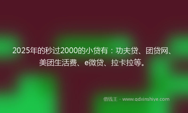 2025年的秒过2000的小贷有：功夫贷、团贷网、美团生活费、e微贷、拉卡拉等。