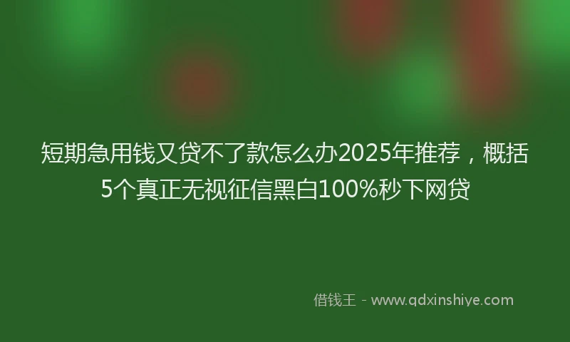 短期急用钱又贷不了款怎么办2025年推荐，概括5个真正无视征信黑白100%秒下网贷