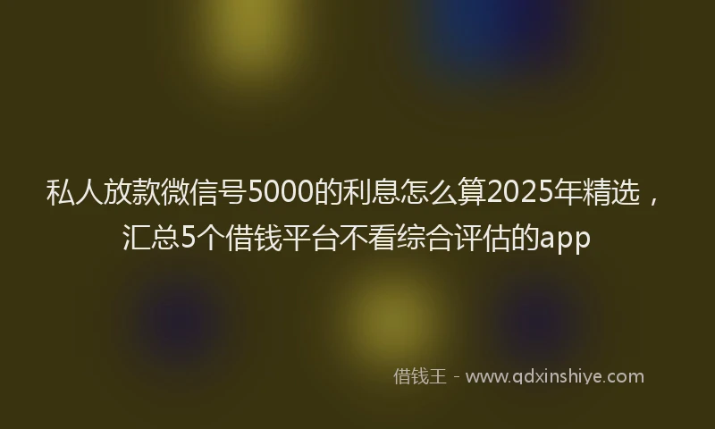 私人放款微信号5000的利息怎么算2025年精选，汇总5个借钱平台不看综合评估的app