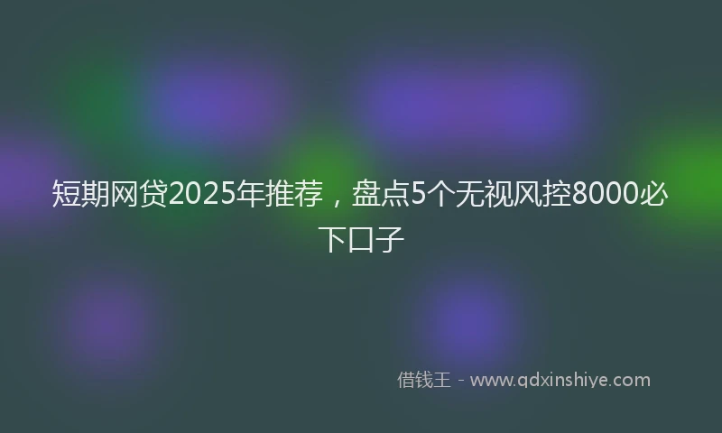 短期网贷2025年推荐，盘点5个无视风控8000必下口子