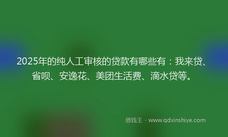 2025年的纯人工审核的贷款有哪些有：我来贷、省呗、安逸花、美团生活费、滴水贷等。