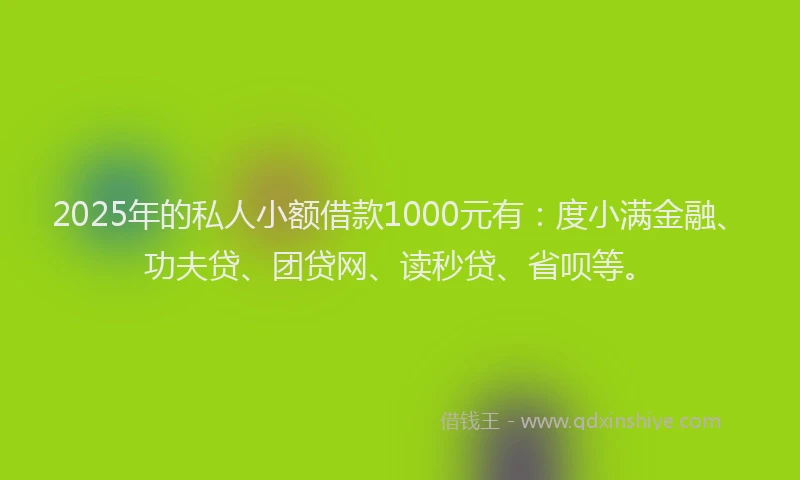 2025年的私人小额借款1000元有：度小满金融、功夫贷、团贷网、读秒贷、省呗等。