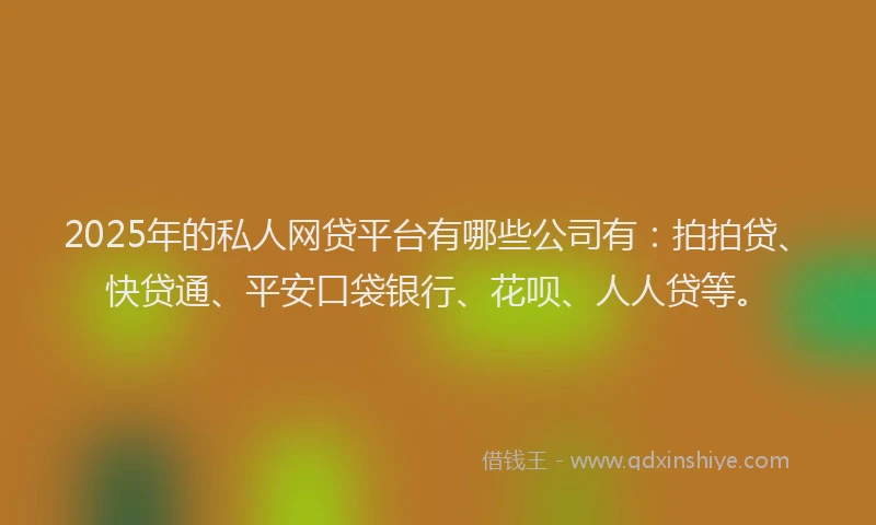 2025年的私人网贷平台有哪些公司有：拍拍贷、快贷通、平安口袋银行、花呗、人人贷等。
