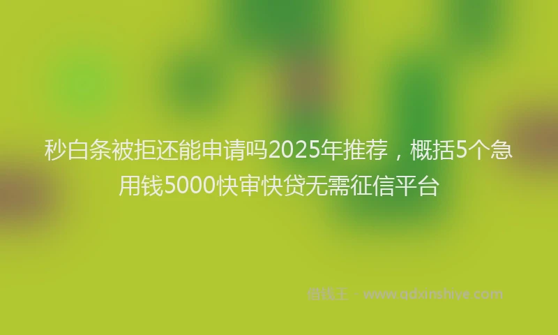 秒白条被拒还能申请吗2025年推荐，概括5个急用钱5000快审快贷无需征信平台