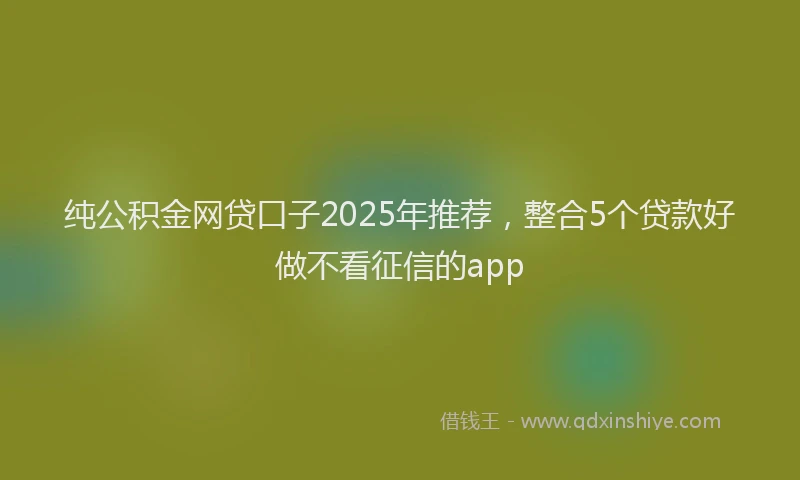 纯公积金网贷口子2025年推荐，整合5个贷款好做不看征信的app
